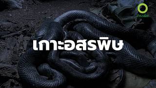 สารคดี สำรวจโลก ตอน เกาะอสรพิษ