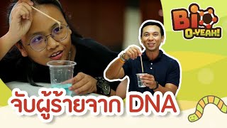 จับผู้ร้ายจาก DNA | Bio O-YEAH! [Mahidol Kids]