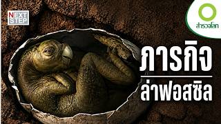 สุสานไดโนเสาร์ที่เปลี่ยนประวัติศาสตร์โลก | สารคดี สำรวจโลก ตอน เปิดความลับอาณาจักรไดโนเสาร์