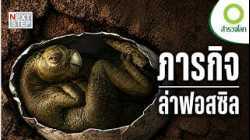 สุสานไดโนเสาร์ที่เปลี่ยนประวัติศาสตร์โลก | สารคดี สำรวจโลก ตอน เปิดความลับอาณาจักรไดโนเสาร์