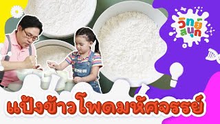 แป้งข้าวโพดมหัศจรรย์ | วิทย์สนุก