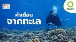 ความลับใต้ทะเลลึก ปะการังเล่าเรื่องโลกเมื่อ 20,000 ปีก่อน | สารคดี สำรวจโลก