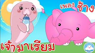 เพลงเจ้ามาเรียม & เพลงช้างช้างช้าง เพลงเด็กน้อยวัยอนุบาล @KidsOnCloud