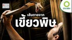 หากคุณถูกงูพิษกัด คุณจะรอดหรือไม่? | สารคดี สำรวจโลก ตอน เส้นตายจากเขี้ยวพิษ