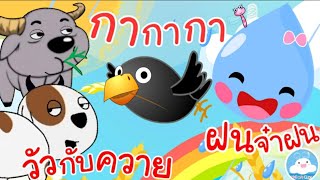 เพลงวัวกับควาย เพลงกากากา เพลงฝนจ๋าฝน เพลงเด็กน้อยวัยอนุบาล @KidsOnCloud 