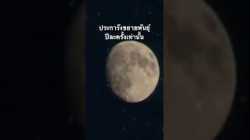 #ประการัง #สำรวจโลก #สำรวจโลก #สารคดี @nextstepwave