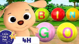 Bingo! Little Puppy Song | Four Hours of Little Baby Bum Nursery Rhymes and Songs