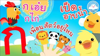 เพลงก เอ๋ย กไก่  เพลงเพื่อนสัตว์อยู่ไหน & เพลงเป็ดอาบน้ำ เพลงเด็กน้อยวัยอนุบาล @KidsOnCloud