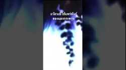 #สำรวจโลก #doxzilla #สารคดี #สารคดีสัตว์ #แมงกะพรุน