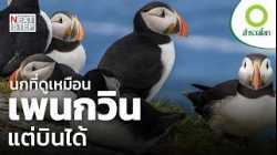 หน้าคล้ายจนสับสน แต่ถิ่นที่อยู่ต่างกันสุดขั้ว | สารคดี สำรวจโลก