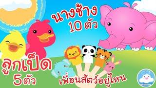 เพลงลูกเป็ด 5 ตัว เพลงเพื่อนสัตว์อยู่ไหน เพลงนางช้าง 10 ตัว เพลงเด็กน้อยวัยอนุบาล @KidsOnCloud 