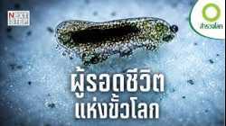 ยุงนับพันล้านสู่ไส้เดือนน้ำแข็ง ปริศนาชีวิตแห่งอลาสก้า | สารคดี สำรวจโลก ผู้รอดชีวิตแห่งขั้วโลก