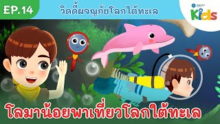 EP.14 โลมาน้อยพาเที่ยวโลกใต้ทะเล | วิดดี้ผจญภัยโลกใต้ทะเล