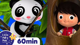 Where Did You Go? +More Nursery Rhymes and Kids Songs | Little Baby Bum