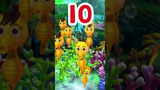 Can You Count Ten Sea Horses? ?#LBB #Short #Educational
