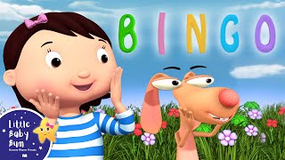 Bingo | +More Nursery Rhymes and Kids Songs | Little Baby Bum