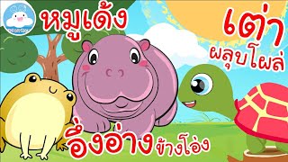 เพลงอึ่งอ่างข้างโอ่ง เพลงหมูเด้ง เพลงเต่าผลุบโผล่ เพลงเด็กน้อยวัยอนุบาล @KidsOnCloud 