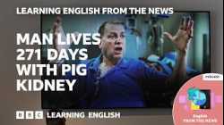 Transplanted pig kidney works inside patient for record nine months | Learning English from the News