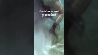 #สำรวจโลก #doxzilla #สารคดี #สารคดีสัตว์ #ฉลาม