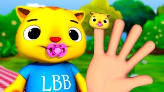 Finger Cat Family - Where Are You??? | Little Baby Bum