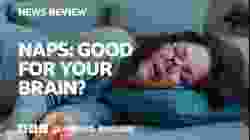Naps: Good for your brain? BBC News Review