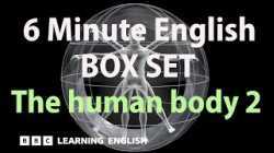 BOX SET: 6 Minute English - 'The human body 2' English mega-class! 30 minutes of new vocab!