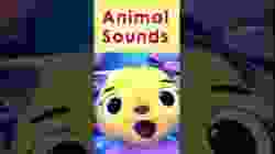 Animal Sound Orchestra ?? #AnimalSounds #InteractiveSongs #Preschool