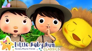 Going on a Lion Hunt - The Scary Lion Song | Nursery Rhymes and Baby Songs | Little Baby Bum