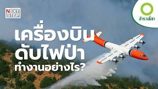 เบื้องหลังภารกิจเสี่ยงตาย ที่ช่วยโลกให้รอดจากไฟป่า | สารคดี สำรวจโลก