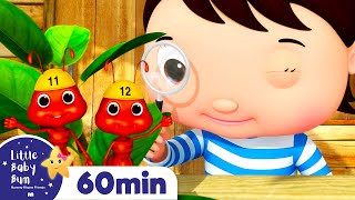 Learn to Count To 20 Song! | Nursery Rhymes and Kids Songs | Little Baby Bum