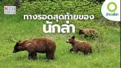 ชายแดนสุดท้ายของสัตว์ป่า ในวันที่เมืองรุกป่า | สารคดี สำรวจโลก