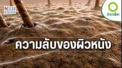 สิ่งที่อยู่ใต้ผิวหนัง คือความจริงของมนุษย์หรือไม่? | สารคดี สำรวจโลก ความลับของผิวหนัง
