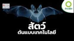 ใครกันแน่คือผู้ประดิษฐ์ตัวจริง มนุษย์หรือธรรมชาติ? | สารคดี สำรวจโลก