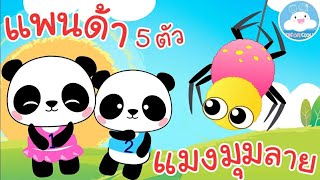 เพลงแพนด้า 5 ตัว & เพลงแมงมุมลาย เพลงเด็กน้อยวัยอนุบาล @KidsOnCloud 