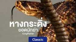 สารคดี หางกระดิ่งยอดนักฆ่า