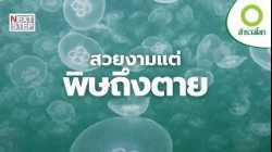 สวยงามแต่ถึงตาย! สัตว์และพืชที่ซ่อนพิษร้ายที่สุดในธรรมชาติ | สารคดี สำรวจโลก ตอน เพชฌฆาตแห่งธรรมชาติ