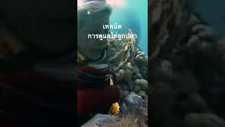#สำรวจโลก #doxzilla #สารคดี #สารคดีสัตว์ #สารคดีสัตว์โลก #สารคดีสั้น