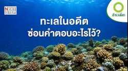 ไขความลับโลกร้อนจากซากปะการังโบราณ | สารคดี สำรวจโลก ภารกิจเจาะทะเลลึก
