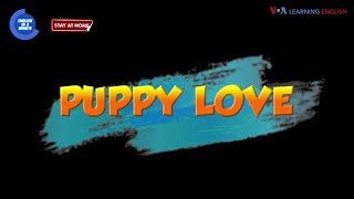 English in a Minute: Puppy love