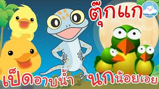 เพลงเป็ดอาบน้ำ เพลงตุ๊กแกร้องอั๊บแอ่ เพลงนกน้อยเอย เพลงเด็กน้อยวัยอนุบาล @KidsOnCloud 