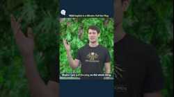 English in a Minute: Pull the Plug