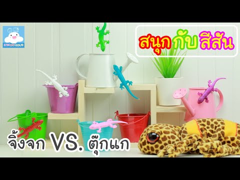 Learn Colors with Lizard VS Gekko / สนุกกับสีสัน จิ้งจกVSตุ๊กแก  by KidsOnCloud