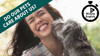 Do our pets care about us? - 6 Minute English