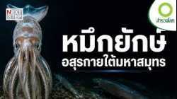 ทำไมหมึกยักษ์จึงเป็นหนึ่งในสัตว์ลึกลับที่สุดของมหาสมุทร? | สารคดี สำรวจโลก ตอน  อสุรกายใต้มหาสมุทร