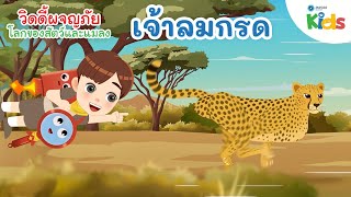 เจ้าลมกรด | วิดดี้ผจญภัย "โลกของสัตว์และแมลง"