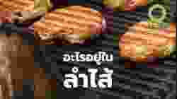 สารคดี สำรวจโลก อะไรอยู่ในลำไส้