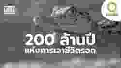 จากยุคไดโนเสาร์ถึงวันนี้ จระเข้ ผู้รอดจากทุกยุคสมัย | สารคดี สำรวจโลก