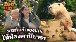 ภารกิจทำของเล่นให้น้องคาปิบารา | Zookeeper