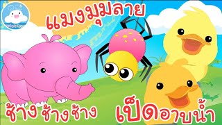 เพลงช้างช้างช้าง เพลงแมงมุมลาย เพลงเป็ดอาบน้ำ เพลงเด็กน้อยวัยอนุบาล @KidsOnCloud 