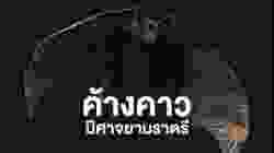 สารคดี สำรวจโลก ตอน ค้างคาว ปิศาจยามราตรี